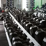 Nyaraló Kingfisher *