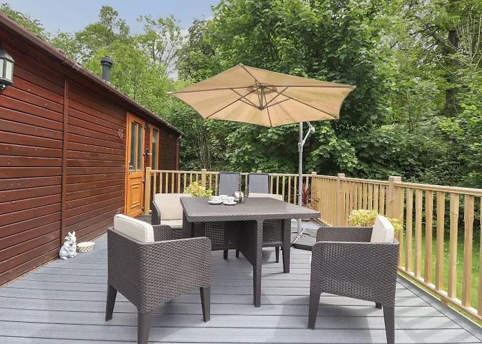 Kingfisher * Windermere