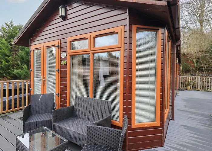 Kingfisher * Windermere