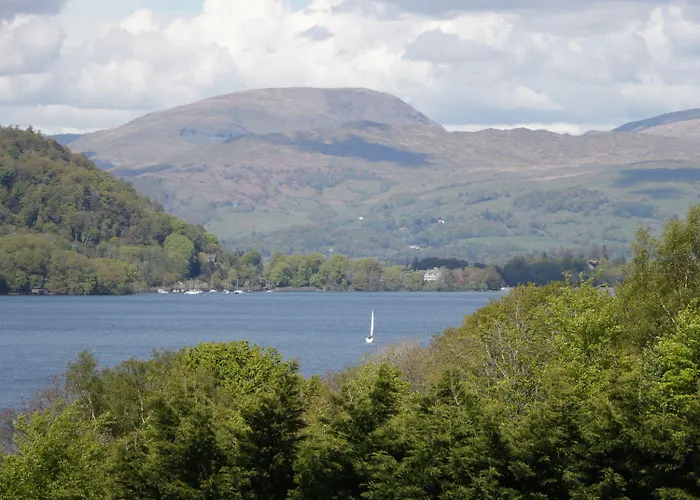 Kingfisher Windermere